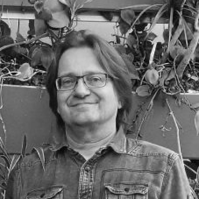 Prof. Dr. Ralf Löwner